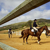 Dolce Campo Real Residences offers Horse Riding packages